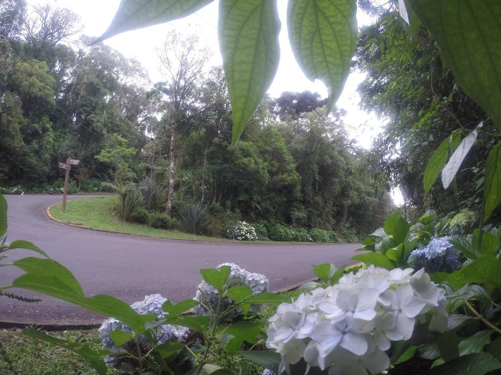 Chale Bela Vista Villa Gramado Exteriör bild